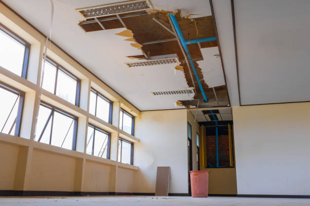 Best Basement water damage restoration  in Hammond, WI