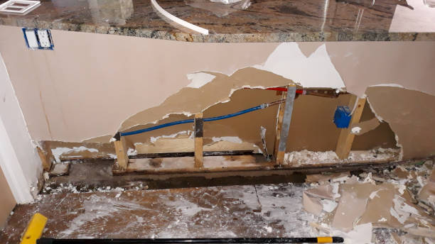 Best Sewage cleanup and water damage restoration  in Hammond, WI