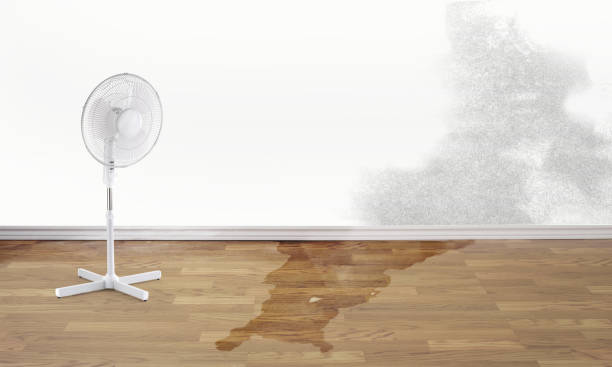 Local water damage restoration in WI