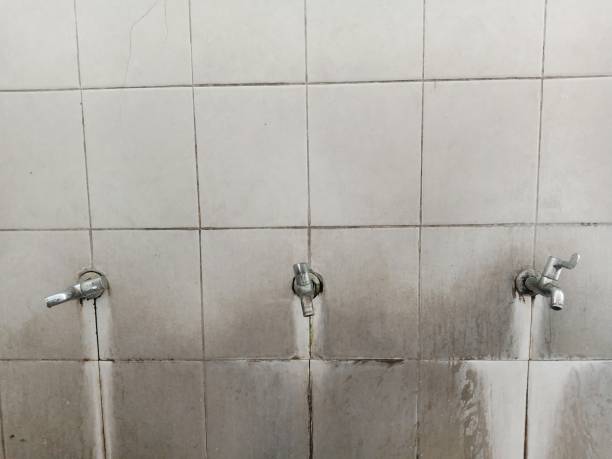 Best Fire Damage Restoration  in Hammond, WI